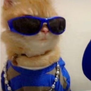 Meet your Posher, Frankie